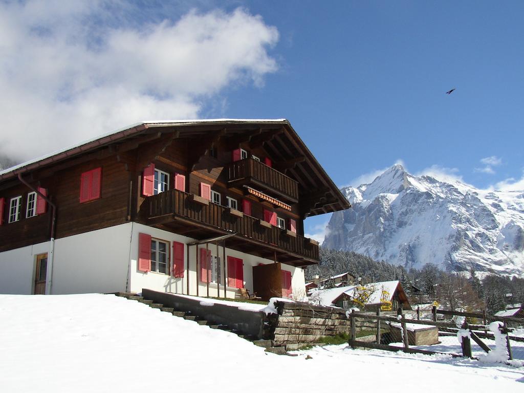 Chalet Aiiny Apartment Grindelwald Bagian luar foto