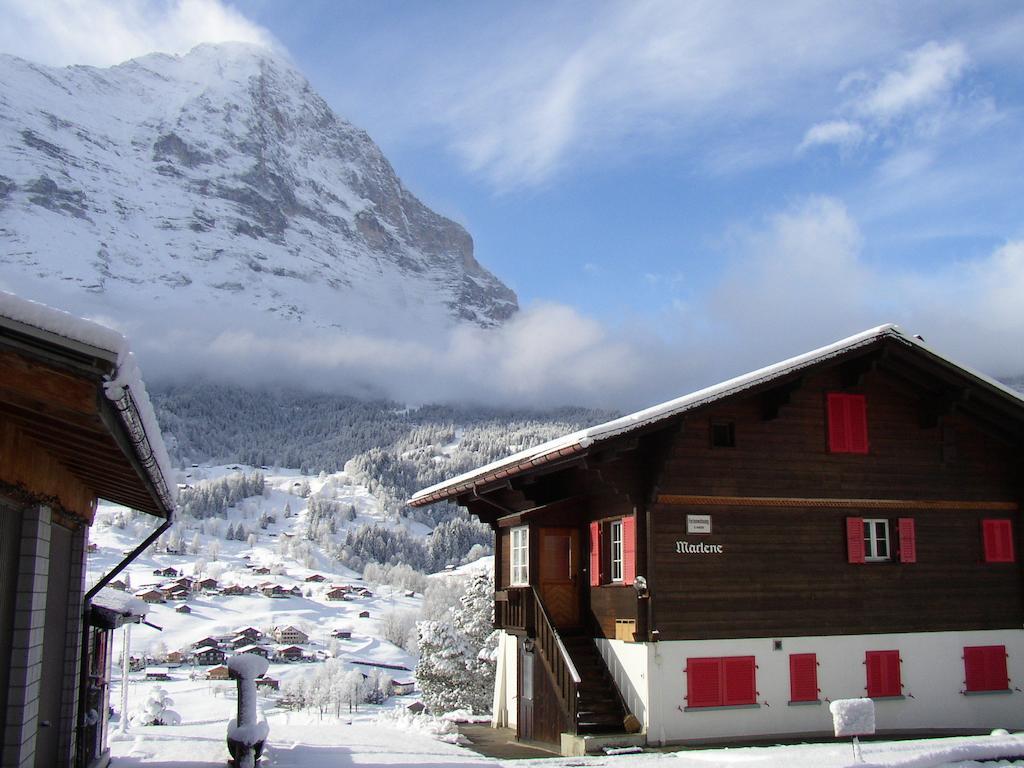 Chalet Aiiny Grindelwald Bagian luar foto