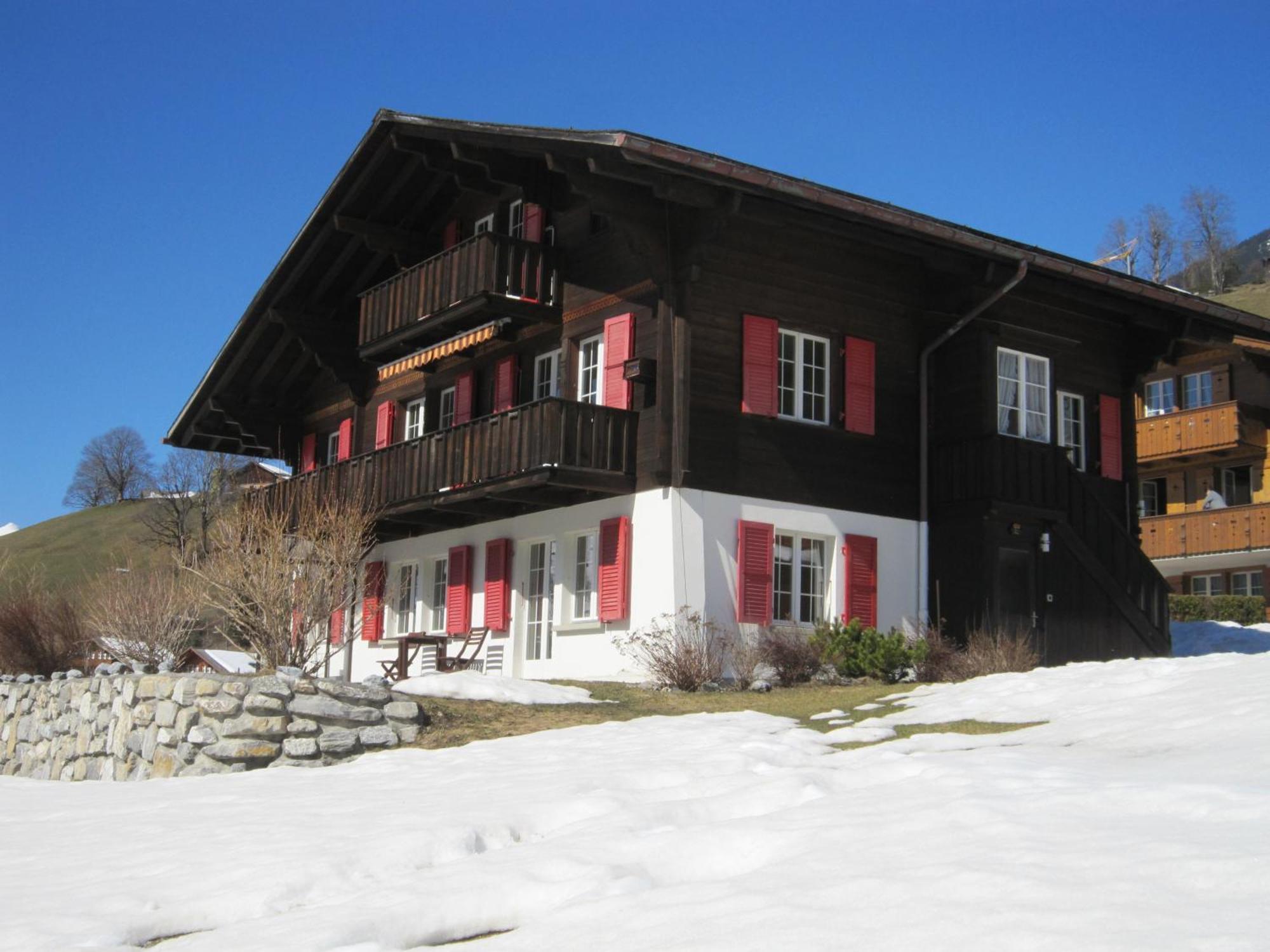 Chalet Aiiny Grindelwald Bagian luar foto