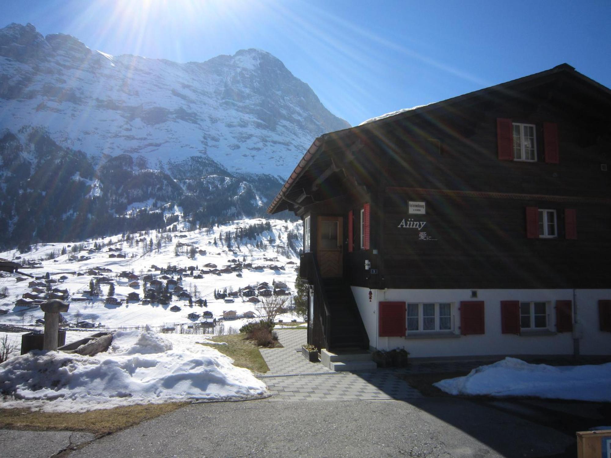 Chalet Aiiny Grindelwald Bagian luar foto