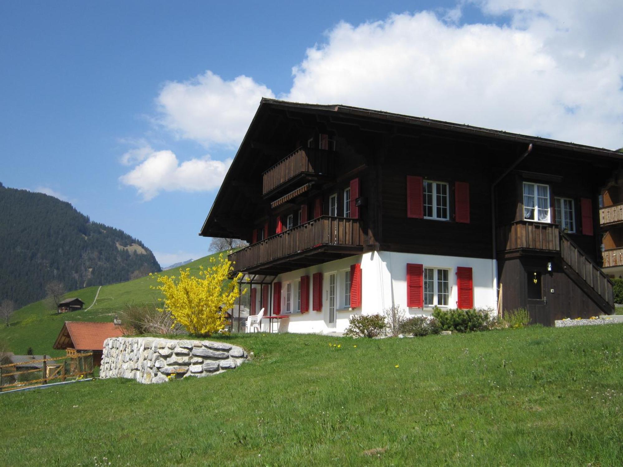 Chalet Aiiny Grindelwald Bagian luar foto